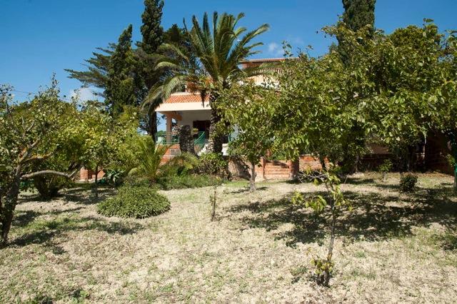 Casa Vacanze Palma Realmonte Eksteriør billede